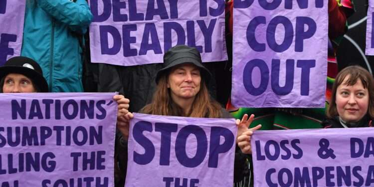 Lack of funding and staff limit climate sector’s impact on conservation and net zero efforts.