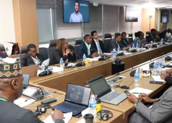 African Development Bank’s FIMES Project Marks Success In Bolstering Transitional Economies 1 African Development Bank’s FIMES Project Marks Success In Bolstering Transitional Economies