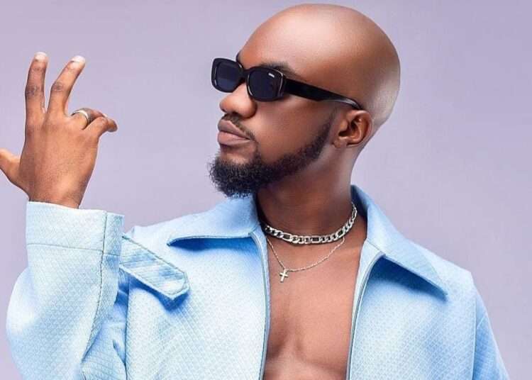 Ghanaian Highlife and Afrobeats musician, Mr. Drew