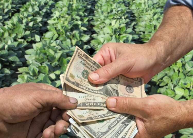 More than GH¢7 million Cocoa Fertilizer Cash Missing- Auditor General’s Report 1 More than GH¢7 million Cocoa Fertilizer Cash Missing- Auditor General’s Report