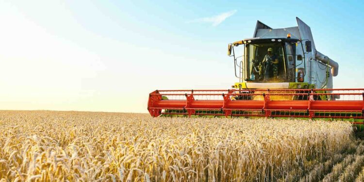Ethiopia and AfDB Group Ink $84.3 million Grant Agreement to Enhance Wheat Production 1 Ethiopia and AfDB Group Ink $84.3 million Grant Agreement to Enhance Wheat Production