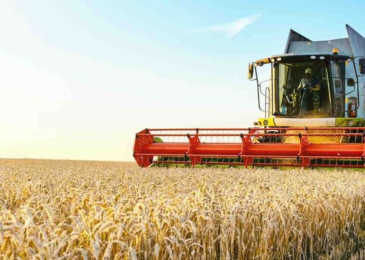 Ethiopia and AfDB Group Ink $84.3 million Grant Agreement to Enhance Wheat Production 1 Ethiopia and AfDB Group Ink $84.3 million Grant Agreement to Enhance Wheat Production