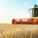 Ethiopia and AfDB Group Ink $84.3 million Grant Agreement to Enhance Wheat Production