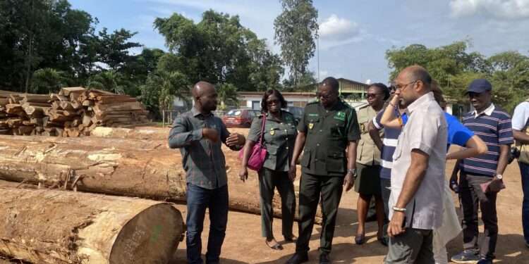 EU Hails Ghana’s Efforts In Fighting Illegal Timber Logging