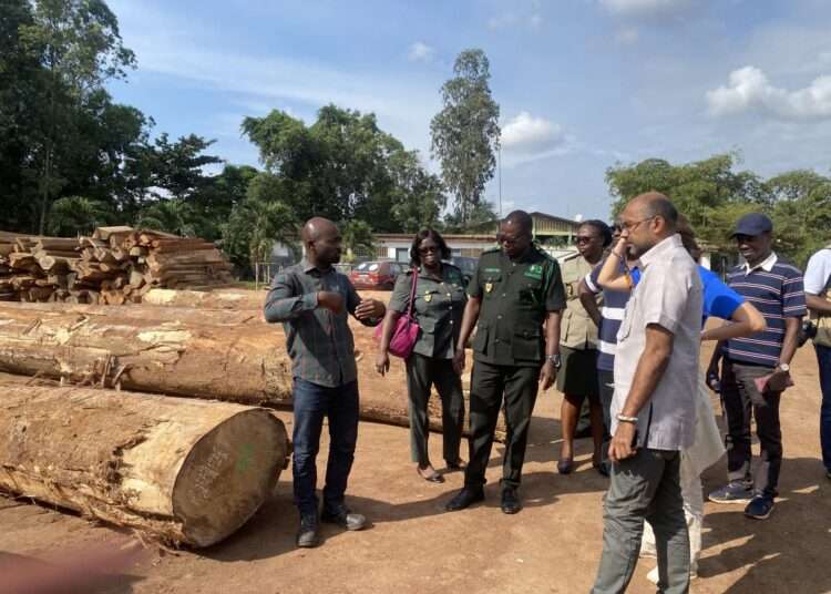 EU Hails Ghana’s Efforts In Fighting Illegal Timber Logging