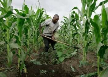 540,000 Smallholder Farmers to Benefit from New Finance Ministry Project 1 540,000 Smallholder Farmers to Benefit from New Finance Ministry Project