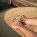 Ukraine Sues Poland, Slovakia And Hungary Over Bans On Food Imports 12 An agricultural worker unload cereals from a combine as workers harvest a large field of barley near the border with Russia in the Chernihiv region on August 30, 2023 in Chernihiv, Ukraine.