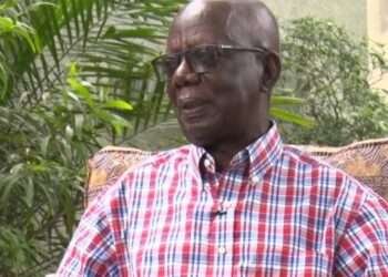 Mpiani Blames Akuffo Addo For Partly Being Responsible For NPP’s Current Problems 1 Mpiani Blames Akuffo Addo For Partly Being Responsible For NPP’s Current Problems