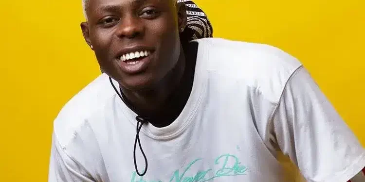 The late Nigerian artist, Mohbad