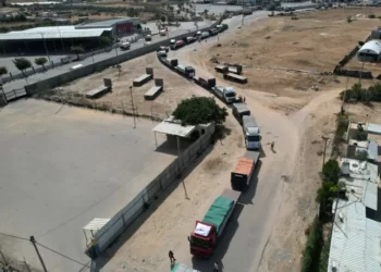 33YU8HC highres 1697885365