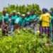 EUGAP Renews Partnership with Agrihouse Ahead of Annual Pre-Harvest Agribusiness Conference