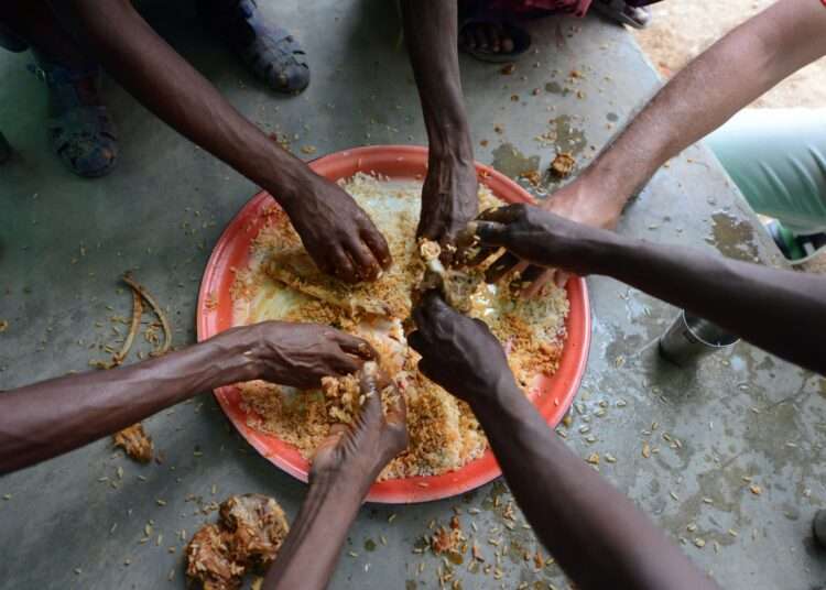 FAO Director-General Makes Urgent Global Call For Action On Food Security 1 FAO Director-General Makes Urgent Global Call For Action On Food Security