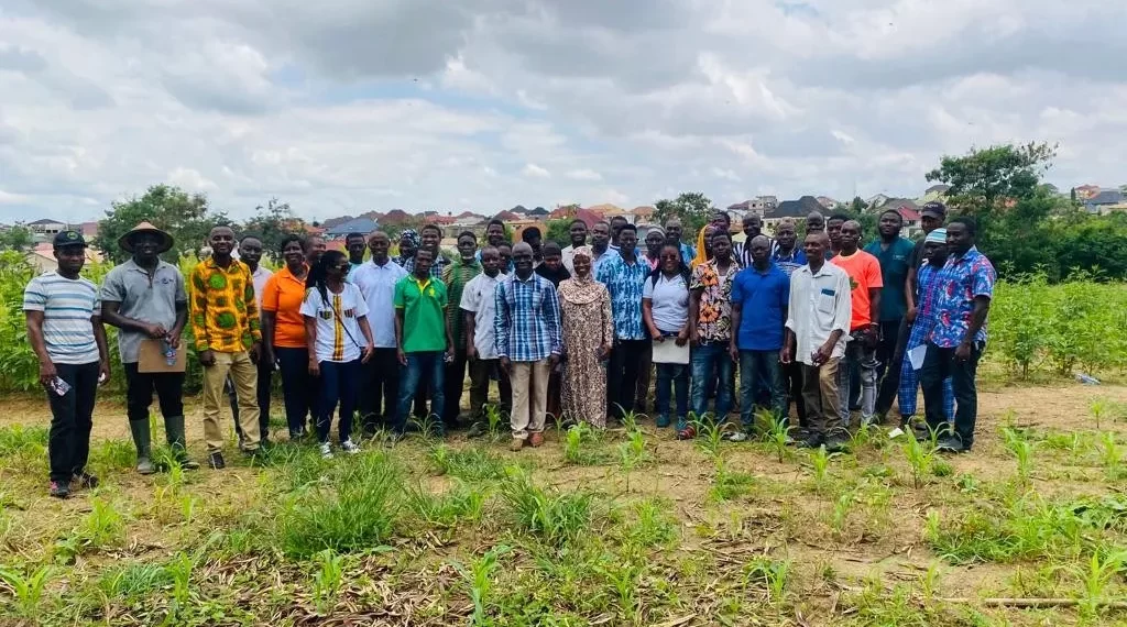 ksi Science Vegetables Selection 3