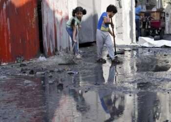 WFP Appeals For Expanded Access To Gaza 2 WFP Appeals For Expanded Access To Gaza