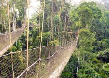 Kakum National Park.