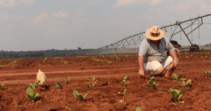 Zimbabwe White farmers e1634823858629