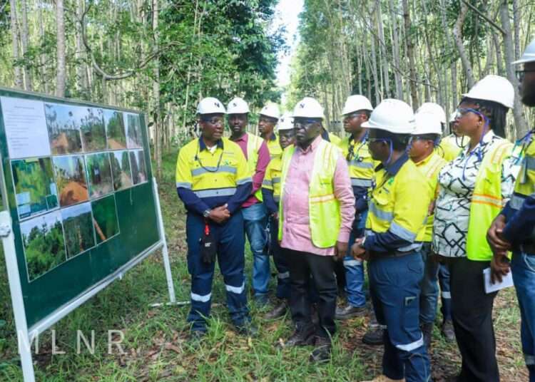 Deputy Lands Minister Commends Newmont Ghana On Forest Restoration Project 1 Deputy Minister for Lands and Natural Resources responsible for Lands and Forestry, Benito Owusu-Bio.