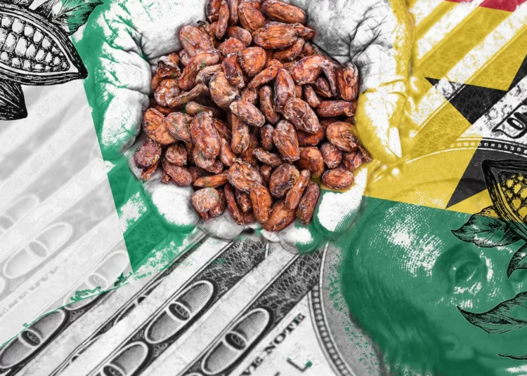 Ghana Turns to Cocoa Traders for $400 Million Loan Amid Syndicated Loan Struggles