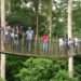 Two Civil Society Groups Urge Parliament To Criminalize Mining Activities In Forest Reserve 13 Kakum National Park in the Central Region