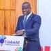 Minister for Lands and Natural Resources, Samuel Jinapor.