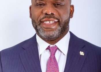 NAPO Courts More Support For NPP Running Mate Bid