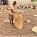 EU Commits to Sustainable Cashew Production and Economic Growth in Africa