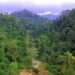 Atiwa Range Forest Reserve