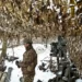 A Ukrainian serviceman stands next to a M777 howitzer at a position near a frontline in Zaporizhzhia region.