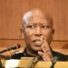 Julius Malema Raises Alarm Over Corruption Threatening Ghana's Democracy 13 Julius Malema