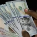 Foreign Debt Claims Half of Nigeria's 2023 Official Dollar Outflows