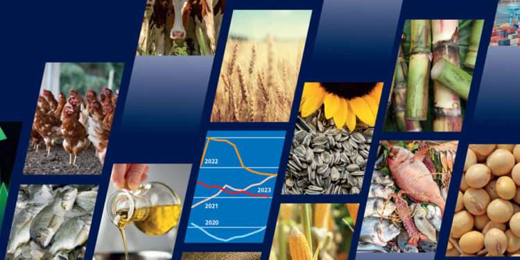 FAO Forecasts Price Increase for Food Staples in 2024: Implications for West Africa 1 food outlook nov 2023 1