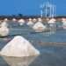 Salt Miners Vow To Resist Ejection By Electrochem Ghana Limited 11 salt electrochem