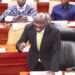 2024 SONA: Minority Leader Chastises President Akufo-Addo Over His Silence On Unemployment 11 Dr Cassiel Ato Forson