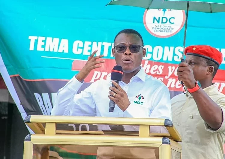 NDC's Fifi Fiavi Kwetey Shares Party's Decision on Running Mate 1 Fifi Fiavi Kwetey