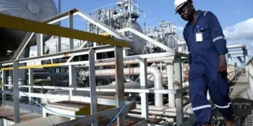 Africa-Focused Energy Trader Mocoh Establishes Biofuels Division