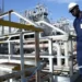 Africa-Focused Energy Trader Mocoh Establishes Biofuels Division 11 Africa-Focused Energy Trader Mocoh Establishes Biofuels Division