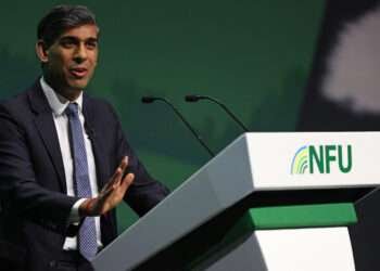 Britain's Prime Minister Rishi Sunak addresses delegates at the annual National Farmers' Union (NFU) conference, at the ICC in Birmingham, central England on February 20, 2024.