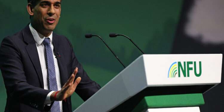 Rishi Sunak Woos Farmers At NFU Conference 1 Britain's Prime Minister Rishi Sunak addresses delegates at the annual National Farmers' Union (NFU) conference, at the ICC in Birmingham, central England on February 20, 2024.