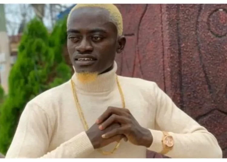 Lilwin Reacts To The Alleged Flogging Of Bloggers And Vloggers 1 Lilwin