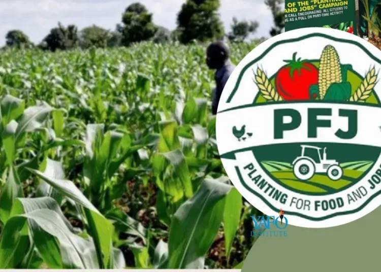 Government Launches Second Phase Of Planting For Food And Jobs 1 Planting for Food and Jobs.