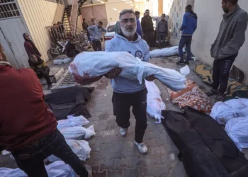 Gaza Death Toll Rises To 31,923