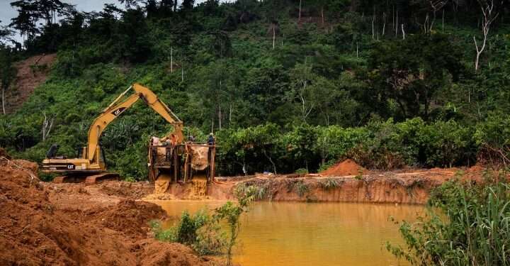 Tropenbos Ghana Demands Immediate Action on Sustainable Forest Management