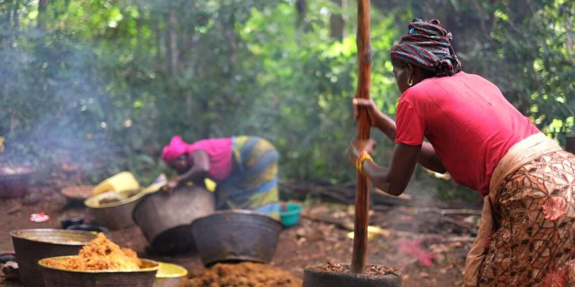 Local Industry to Eliminate Fake Oil from Ghana's Market 1 Palm Oil