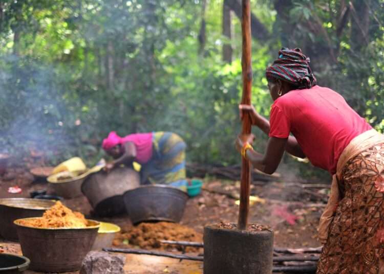 Palm Oil