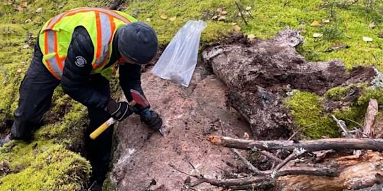 Volta To Dig Deep Into Fresh Lithium Discoveries