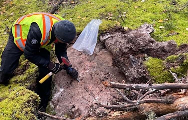 Volta To Dig Deep Into Fresh Lithium Discoveries