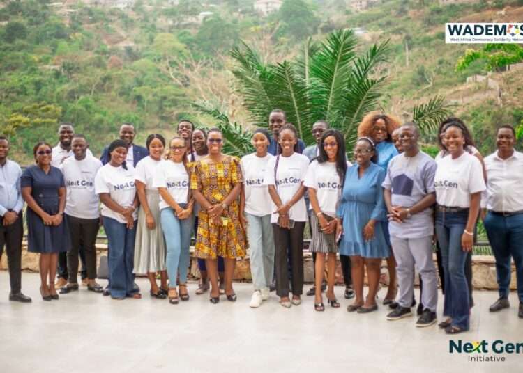 West African Youths Trained As ‘Young Leaders’ 1 'Young leaders' mentored by the West Africa Democracy Solidarity Network (WADEMOS)