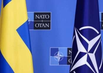 Europe Must Prepare for NATO Without US, Says Wallace