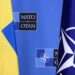 Europe Must Prepare for NATO Without US, Says Wallace
