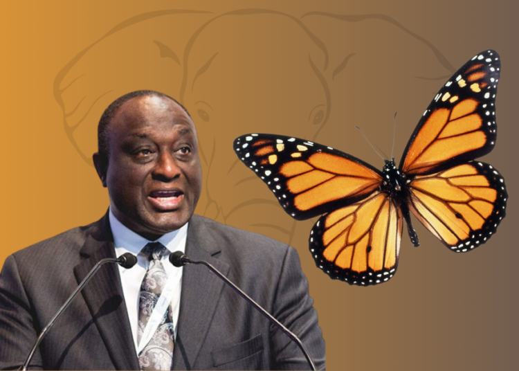 Kyerematen Calls For Structural Reforms To Address Cedi Depreciation 1 Alan Kyeremanten, MFC Leader